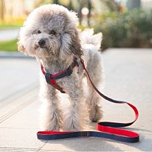 優質牛仔寵物牽引繩中小型犬泰迪胸背帶狗繩子狗帶 三件套 價格比較,價格查詢,歷史價格詳細信息