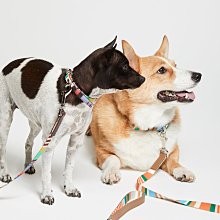 精品兩只和闐玉糖色手鐲 新疆且末料雙色玉鐲5382 歷史價格詳細信息