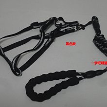 尼龍狗狗牽引繩中型大型犬狗鏈子金毛馬犬德牧遛狗繩子加長牽引帶 歷史價格詳細信息