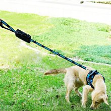 寵物泡棉項圈 狗項圈 小中大型犬通用 脖套 寵物頸圈 寵物用品 可佩牽引繩 金毛藏獒貴賓 五種尺寸 XS/S賣場【神來也 歷史價格詳細信息
