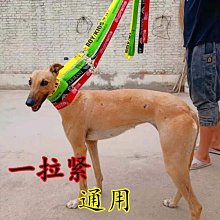 遛狗繩中小型犬大狗毛防爆沖訓練狗狗P鏈外出遛狗繩子寵物牽引繩用品 免運 歷史價格詳細信息