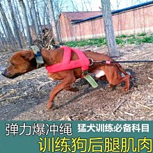 熱賣 狗胸背帶麂皮絨胸背中小型犬背心式牽引繩 防爆衝反光胸揹帶法鬥胸背中小型犬背帶新品 促銷 歷史價格詳細信息