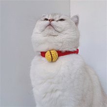 貓咪項圈卡通狗鈴鐺寵物狗狗項圈小型犬泰迪脖圈頸圈貓項鏈可調節 歷史價格詳細信息