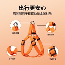 寵物牽引繩牽狗繩狗鏈狗項圈遛狗繩6折 狗狗P繩防爆衝p鏈一件式式加長狗繩狗鏈小中大型犬可調整遛狗牽引繩 歷史價格詳細信息