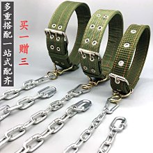 狗鏈子牽引繩防咬鐵鏈大型犬狗狗項圈遛狗繩小型柯基金毛德牧土狗 歷史價格詳細信息