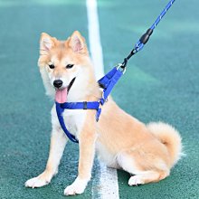 【爆款特賣】狗狗牽引繩背心式大型中小型犬胸背帶比熊泰迪博美遛狗 歷史價格詳細信息