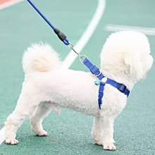 狗狗牽引繩 可調節胸背 帶背心式防爆沖牽引繩 外出遛狗繩子 反光繩 防走失 歷史價格詳細信息