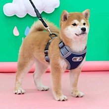 【爆款特賣】防爆沖防掙脫大中小狗胸背帶不粘毛反光拉布拉多法斗遛 歷史價格詳細信息