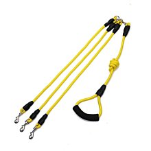 【爆款特賣】頭層牛皮狗狗牽引繩中大型犬法斗狗鏈德牧訓練繩馬犬金 歷史價格詳細信息