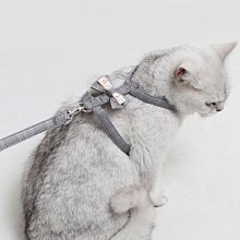 貓牽引繩新款可調節貓繩子溜貓鍊子胸背帶貓咪牽引繩背心式防掙脫可愛舒適【雲吞】 歷史價格詳細信息