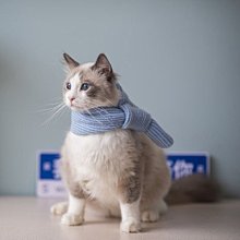 廠家直銷貓大容量新款太空艙雙肩透氣寵物便攜手提雙肩貓背 歷史價格詳細信息