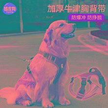 狗狗牽引繩中型大型犬牛皮狗鏈子真皮項圈金毛德牧防爆沖遛狗繩子-特價 歷史價格詳細信息