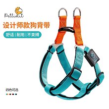 泰迪金毛寵物大型中型小型犬狗鏈遛狗繩2米3米加長狗狗牽引繩 歷史價格詳細信息