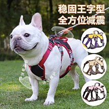 狗狗牽引繩栓貓繩小型犬中型犬大型犬金毛泰迪幼犬遛狗繩狗鏈子 歷史價格詳細信息