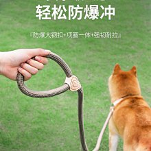 遛狗繩狗狗繩子防爆沖P鏈遛狗牽引繩防掙脫狗鏈子中大型犬防爆沖拴狗繩 免運 歷史價格詳細信息