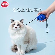 網紅貓咪牽引繩外出專用防掙脫遛貓繩溜貓狗狗工字形防丟可愛胸背 歷史價格詳細信息