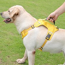 狗狗牽引繩 可調節胸背 帶背心式防爆沖牽引繩 外出遛狗繩子 反光繩 防走失 歷史價格詳細信息