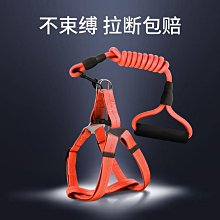 狗狗牽引繩狗繩子小型中型大型犬遛狗繩金毛柯基泰迪鏈子寵物用品 歷史價格詳細信息