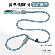 狗繩訓練p鏈防爆沖遛狗繩小中大型犬夜間反光牽引繩防掙脫狗鏈 歷史價格詳細信息