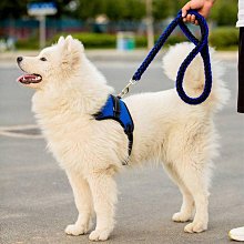 狗狗牽引繩狗繩子小型中型大型犬遛狗繩金毛柯基泰迪鏈子寵物用品 歷史價格詳細信息