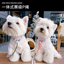 狗狗牽引繩小型犬p繩狗鏈子中大型犬防爆沖p鏈遛狗繩訓犬牽狗繩子 歷史價格詳細信息