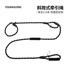 狗繩訓練p鏈防爆沖遛狗繩小中大型犬夜間反光牽引繩防掙脫狗鏈 歷史價格詳細信息