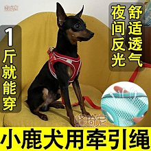 小鹿犬專用透氣牽引繩背心式遛狗狗繩可調節胸背小型幼犬用品大全 價格比較,價格查詢,歷史價格詳細信息