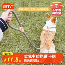 狗繩訓練p鏈防爆沖遛狗繩小中大型犬夜間反光牽引繩防掙脫狗鏈 歷史價格詳細信息