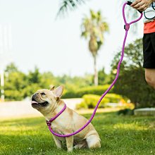 狗狗牽引繩p繩防爆沖中型犬狗鏈P鏈一體專業訓犬狗繩遛狗繩大型犬 歷史價格詳細信息