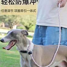 狗P鏈狗繩子防爆沖不勒手寵物牽引繩炫彩耐用加粗尼龍遛 歷史價格詳細信息