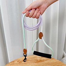 狗狗牽引繩狗鏈子遛狗繩貓繩小型犬中型大型泰迪比熊金毛寵物用品-雅怡尚品 歷史價格詳細信息
