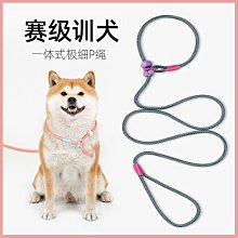 比熊狗狗牽引繩可愛遛狗鏈子小型犬寵物胸背帶泰迪博美小狗牽狗繩 歷史價格詳細信息