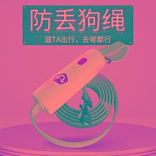 遛狗繩狗狗牽引繩狗鏈反光背心胸背帶狗鏈子狗繩子遛狗繩小型犬泰迪用品 免運 歷史價格詳細信息