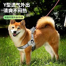 狗狗牽引繩胸背帶狗繩子背心式泰迪柯基溜小狗小型犬牽狗繩狗鏈子-沐陽家居 歷史價格詳細信息