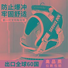 大狗牽引繩防沖爆狗P繩狗繩訓犬P鏈金毛小中大型犬加長加粗狗鏈子 歷史價格詳細信息