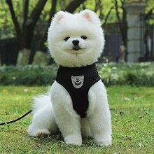透氣網布狗狗胸吊帶 可調整寵物胸吊帶 耐用舒適不勒脖高品質犬用遛狗牽引用品 小中型犬 歷史價格詳細信息