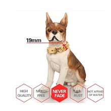 不銹鋼寵物狗鏈子牽引繩狗刻字項圈土豪金脖套小中大型犬防咬寵物 歷史價格詳細信息