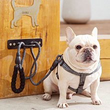 寵物狗狗牽引繩中小型幼犬泰迪狗繩狗鏈子可調節背心式胸背帶遛狗 歷史價格詳細信息