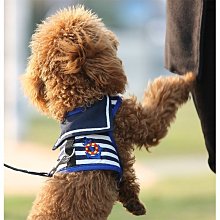 牽引繩 狗狗卡通體配件背心牽引繩泰迪遛狗繩子寵物貓咪外防掙脫胸背 寵物用品 寵寵屋 歷史價格詳細信息