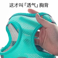 寵物貓咪狗狗背心式牽引繩 絶美僊女紗胸背帶 防掙脫 小型犬公主裙 WCB7 歷史價格詳細信息
