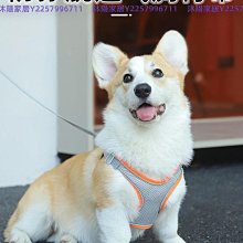 狗狗牽引繩子背心式遛狗繩子法斗柴犬專用貓咪寵物用品胸背帶狗繩 歷史價格詳細信息