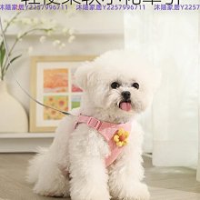 遛狗繩遛狗繩牽引繩拴狗繩子狗鏈子小型犬中型犬大型犬毛二哈拉布拉多 免運 歷史價格詳細信息