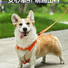 狗鏈子牽引繩胸背帶泰迪柯基中型小型犬自動伸縮遛狗繩貓咪牽引繩戶外遛狗3米5米牽引繩狗狗項圈狗脖套 歷史價格詳細信息