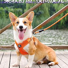 狗狗牽引繩 可調節胸背 帶背心式防爆沖牽引繩 外出遛狗繩子 反光繩 防走失 歷史價格詳細信息