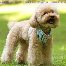 比熊狗狗牽引繩可愛遛狗鏈子小型犬寵物胸背帶泰迪博美小狗牽狗繩 歷史價格詳細信息