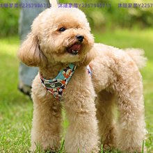 比熊狗狗牽引繩可愛遛狗鏈子小型犬寵物胸背帶泰迪博美小狗牽狗繩 歷史價格詳細信息