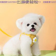 遛狗繩狗狗牽引繩背心式幼犬小型犬比熊泰迪博美寵物胸背帶遛狗繩小狗鏈 免運 歷史價格詳細信息