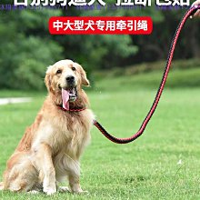 大型犬狗狗項圈狗脖套中小型犬脖圈金毛拉布拉多項圈脖套寵物用品超夯 精品 歷史價格詳細信息