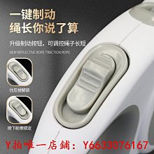 寵物牽引繩 狗狗牽引繩自動伸縮發光遛狗繩大型中型小型犬金毛泰迪柯基狗鏈子 歷史價格詳細信息