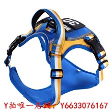 狗狗牽引繩遛狗繩中大型雙狗鏈子一分二雙頭牽引一拖二牽引帶多只 歷史價格詳細信息